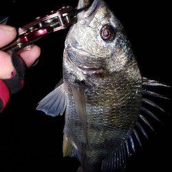 気温上昇体温上昇テンション上昇