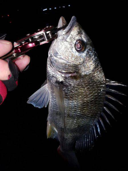 気温上昇体温上昇テンション上昇