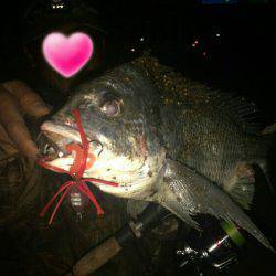 パラダイスらしい!?