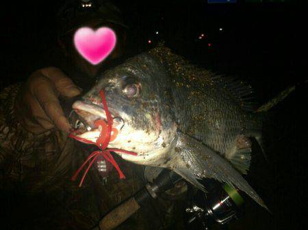 パラダイスらしい!?