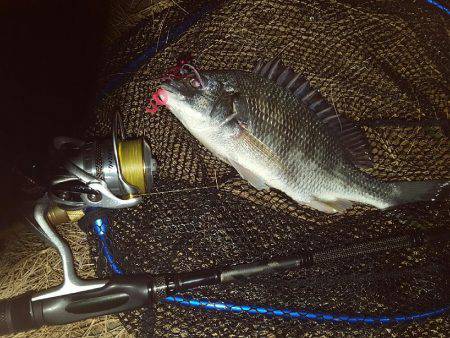 ホンマすっきゃねぇ~