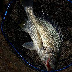 犯人はこいつかぁ~