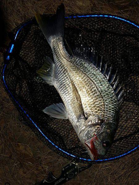 犯人はこいつかぁ～