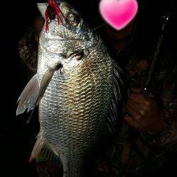 渋いしぶいシブイ。