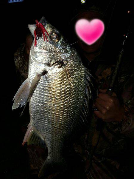 渋いしぶいシブイ。