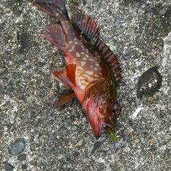 雨あがりからの強風