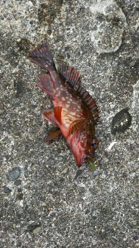 雨あがりからの強風