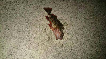 下手くそでしょ❗