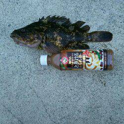 尺サイズ ゲット