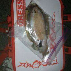 およばれライトの一杯