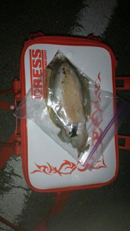 およばれライトの一杯