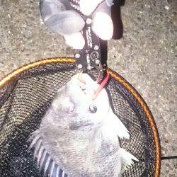 激渋チニング。