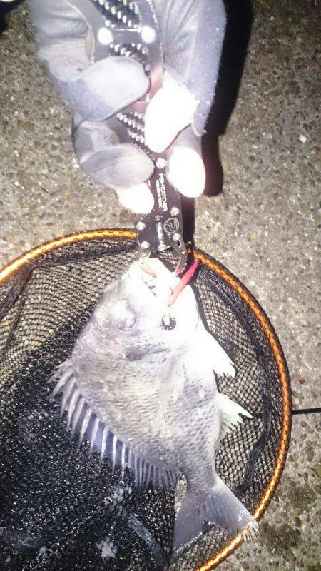 激渋チニング。