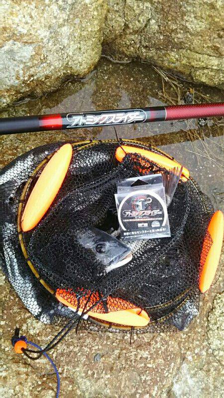 チヌバトル予選！