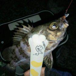 激渋モードに入った感じがしますね～