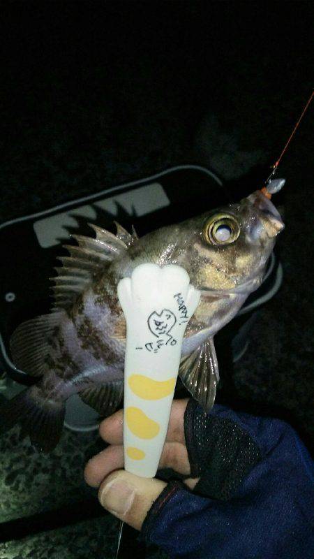 激渋モードに入った感じがしますね～