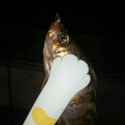 淡路島観光ホテルさんに行って来ました。