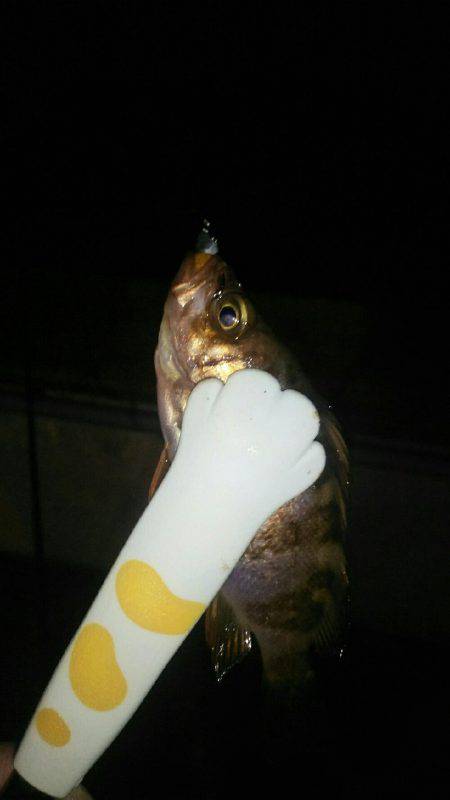 淡路島観光ホテルさんに行って来ました。