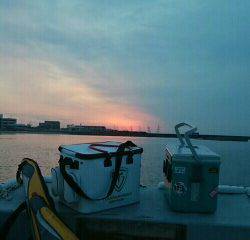 チヌ好調♪須磨海岸一文字