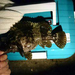 ガシリング調査