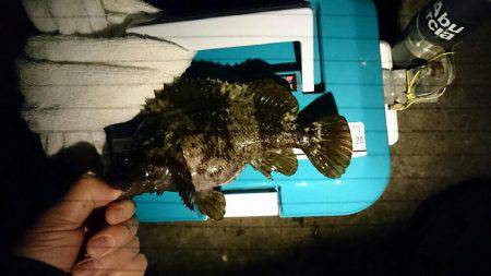 ガシリング調査