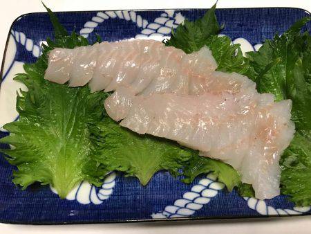 メバル 夜釣り  ポーアイ〜神戸空港