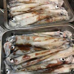 ガッツリエギング!