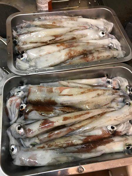 ガッツリエギング！