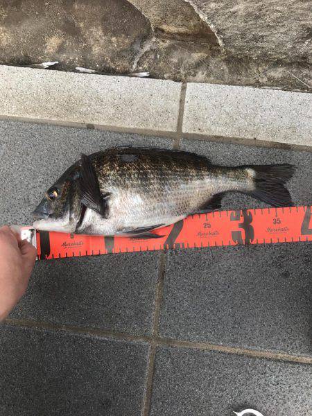 闘魂チヌ ナイスファイト！