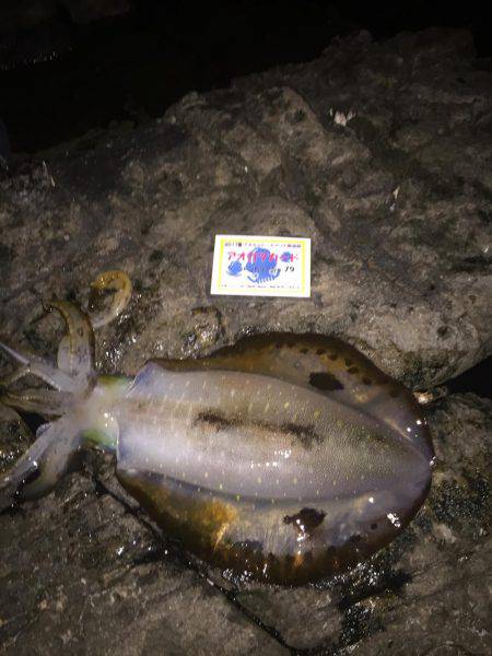 レッドモンスターが釣りたい(笑)