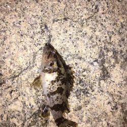 風裏を求めて…