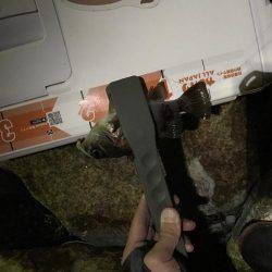 秋のイカポイント