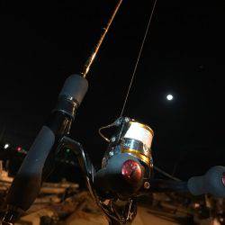 ゲキ渋メバリング