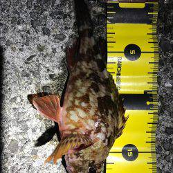 まさかの・・・！