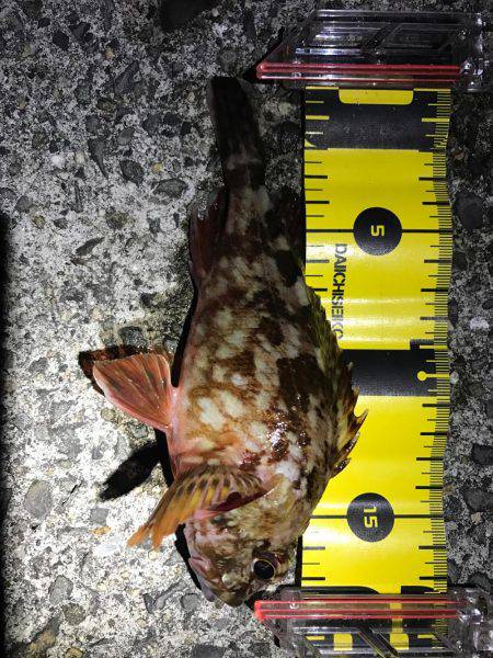 まさかの・・・！