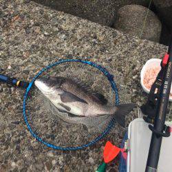 赤×黒ノッコミGet