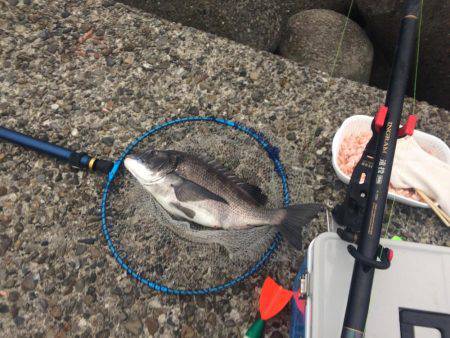 赤×黒ノッコミGet