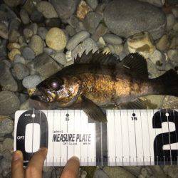 フロート→プラッキング