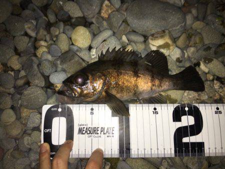 フロート→プラッキング