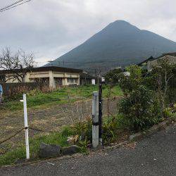 何とかゲット！