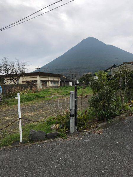 何とかゲット！