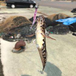 やっぱり釣れる釣りを、、、