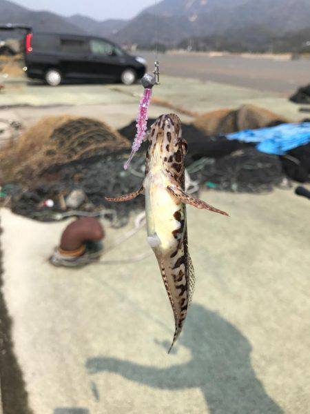 やっぱり釣れる釣りを、、、