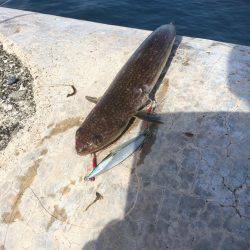 ショアジギング