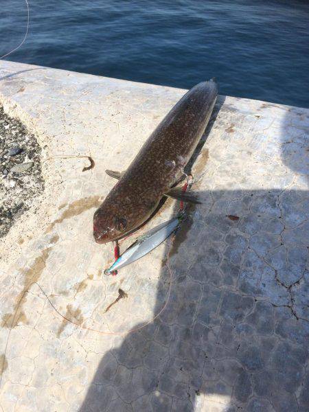 ショアジギング