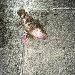 渋いがセオリーどおり