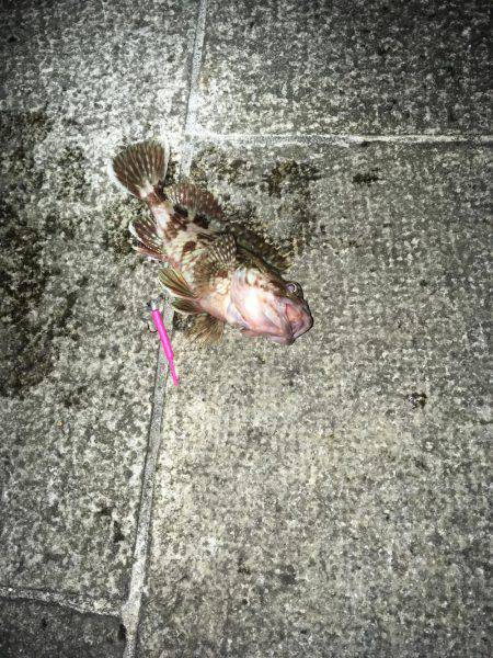 渋いがセオリーどおり