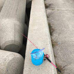 なんとか1匹囧rz