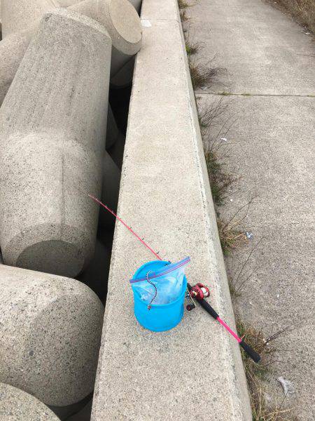 なんとか1匹囧rz