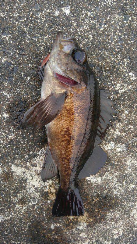 ミップル様周辺にて(笑)。